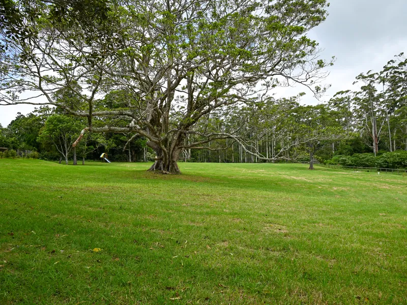 Live Onsite While You Build!