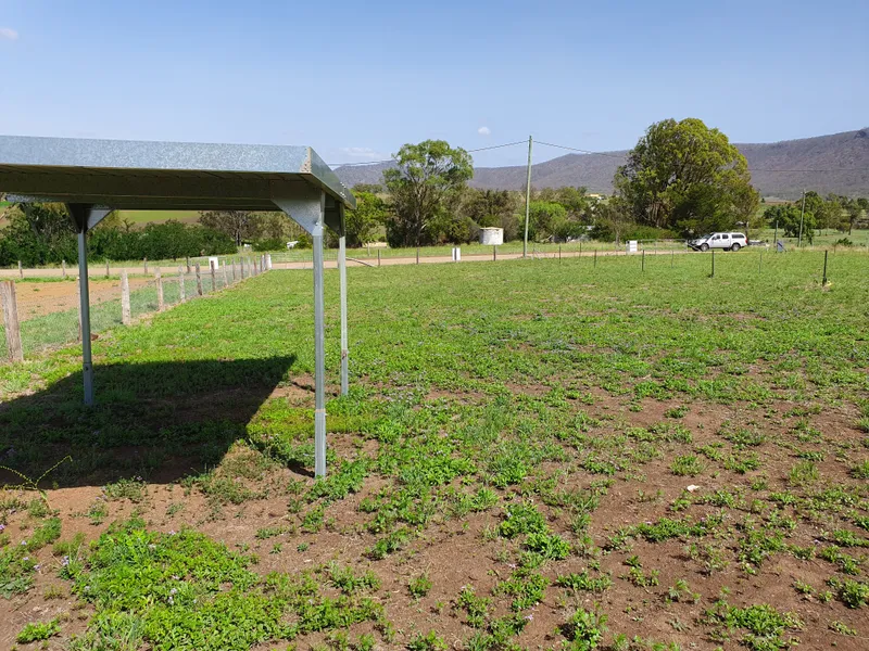 Fully fenced 1/4 acre in Maryvale