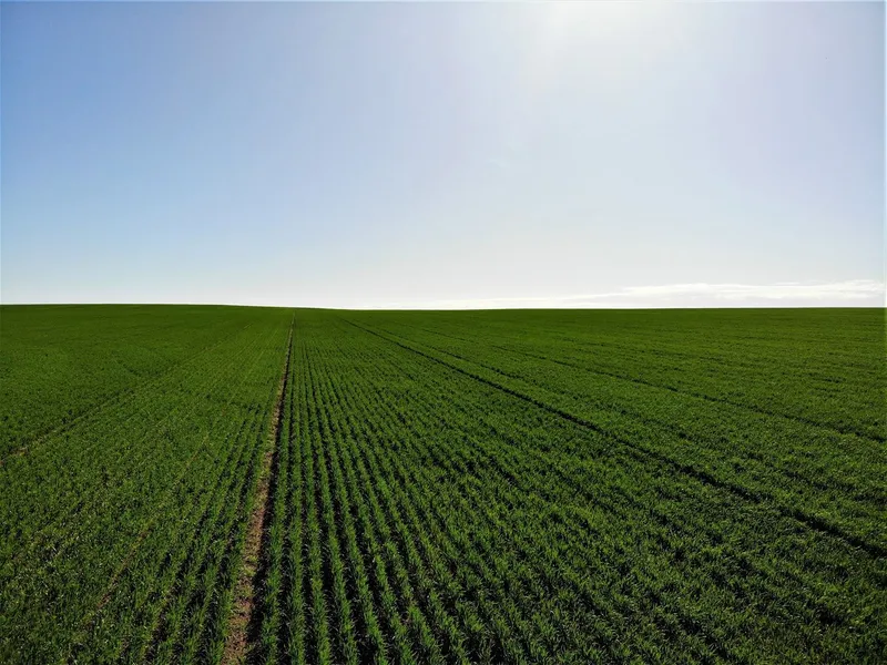Nyah West/Manangatang Broadacre Cropping Enterprise