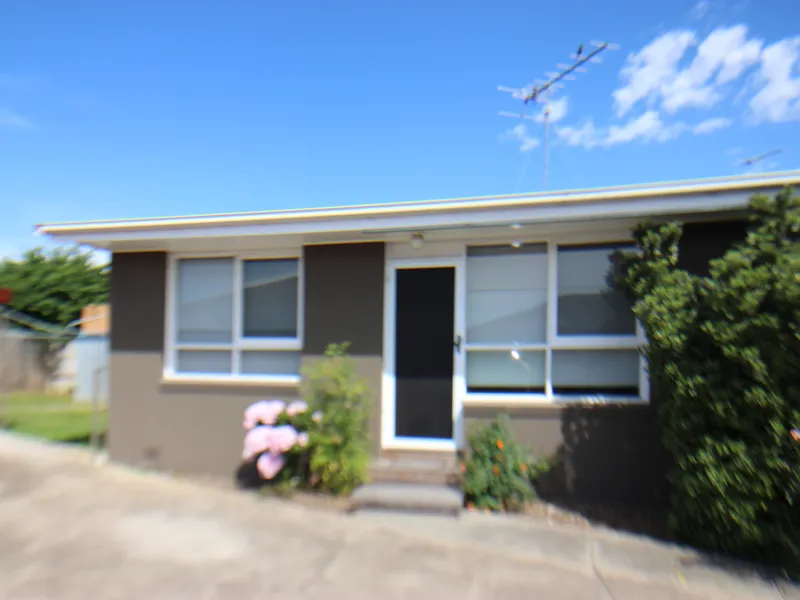 FULLY RENOVATED ONE BEDROOM FLAT