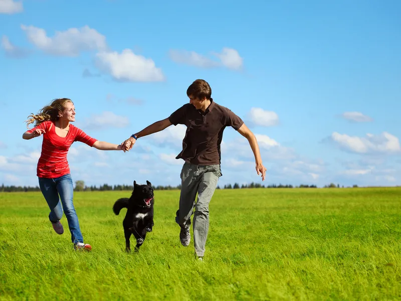 Heartwood Estate Stage 6 - Coming Soon