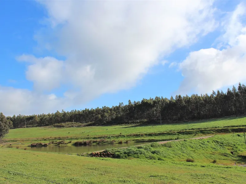 'Riverslea '  ( 70 ha / 173 ac )