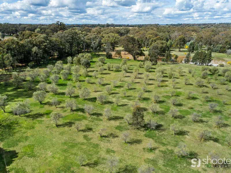 The Village Life Awaits!