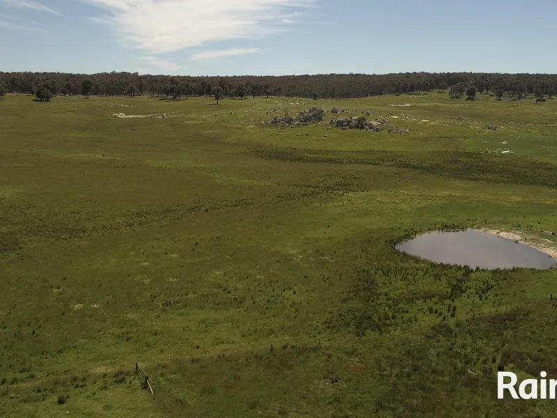 High Country Grazing at its Best!