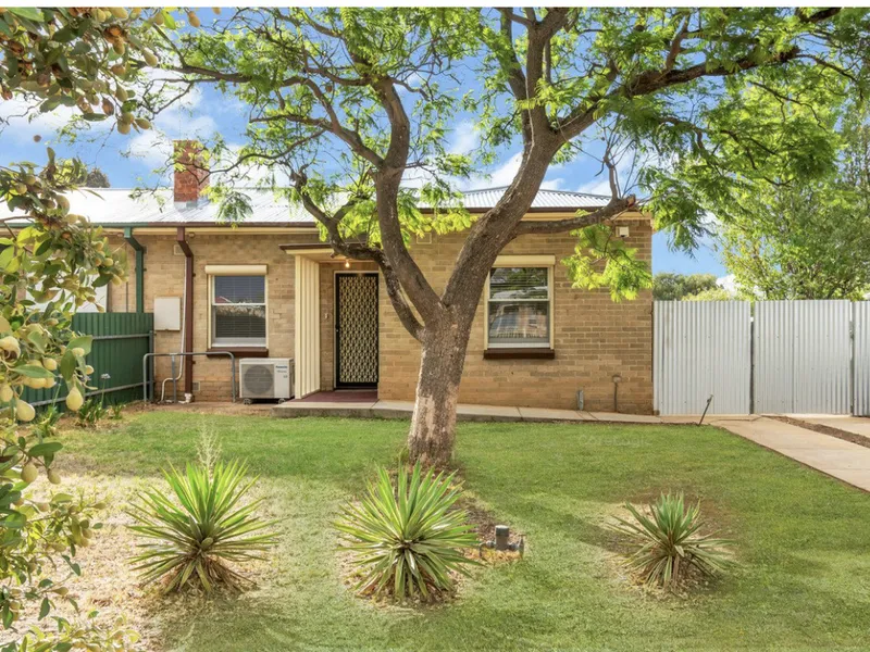 GREAT LITTLE STARTER