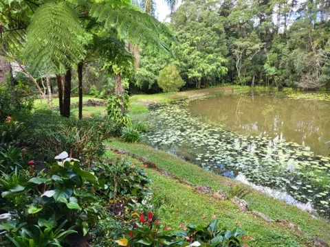 Tranquil central location only 10 minutes to Pottsville Beach, 30 min to Murwillumbah, Mullumbimby, Tweed Heads and Byron Bay.