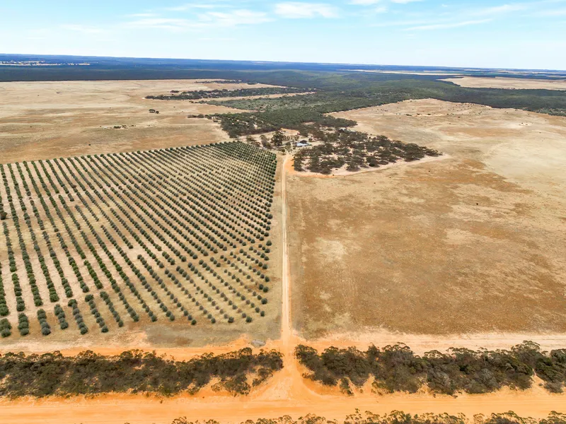 WATER, WATER, WATER - OUTSTANDING IRRIGATION POTATO GROWING FACILITY!