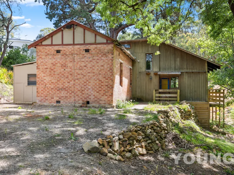 Unlock the Potential