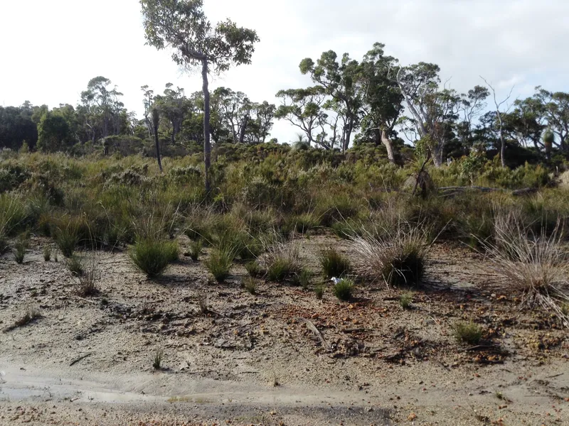 lot 147 McCallum Way