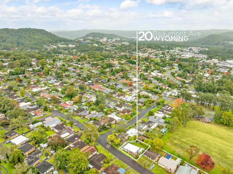 Single Level Stunner