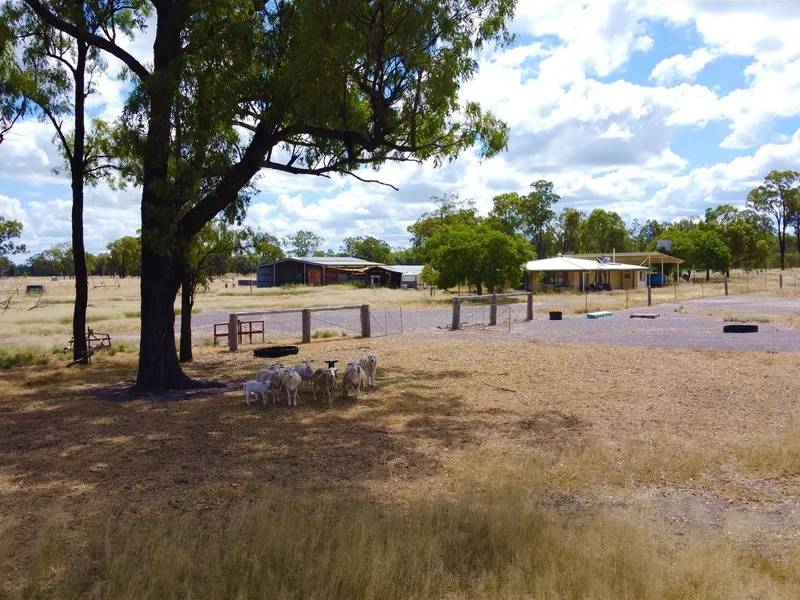 The Vendor Says Sell