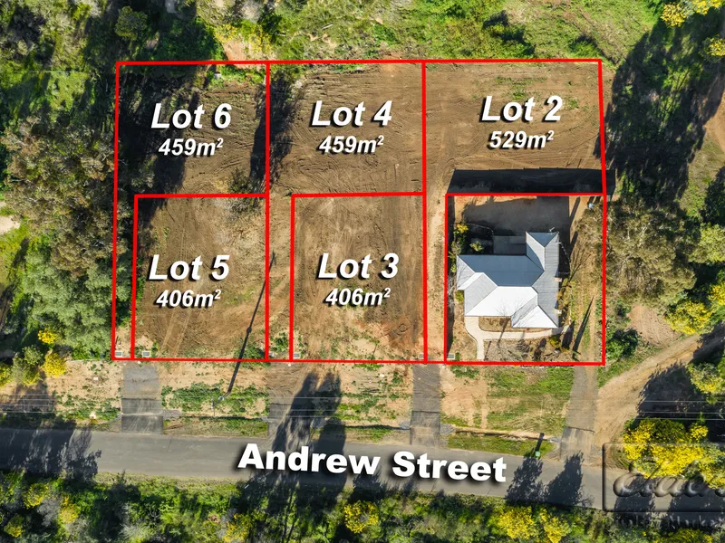 New Land Release in White Hills