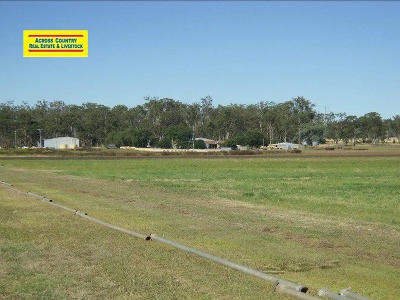 Irrigation Water + Quality Soils = Cashfow