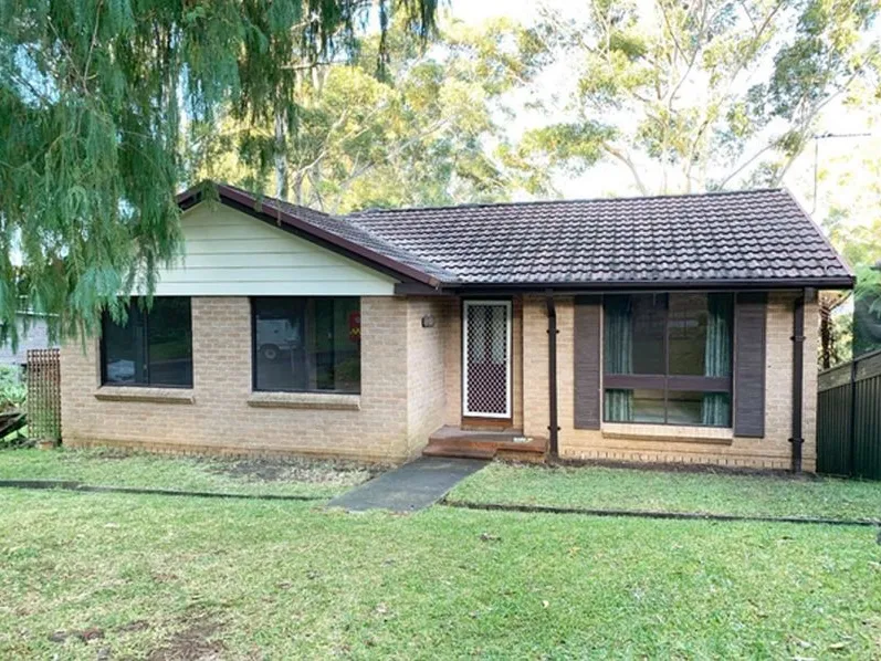 Live Amongst The Treetops.