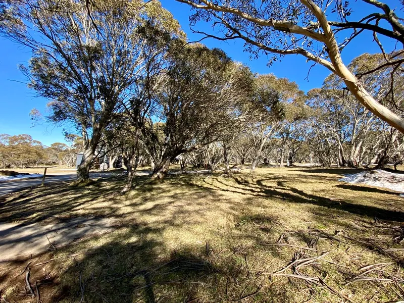 LARGE CORNER LOCATION