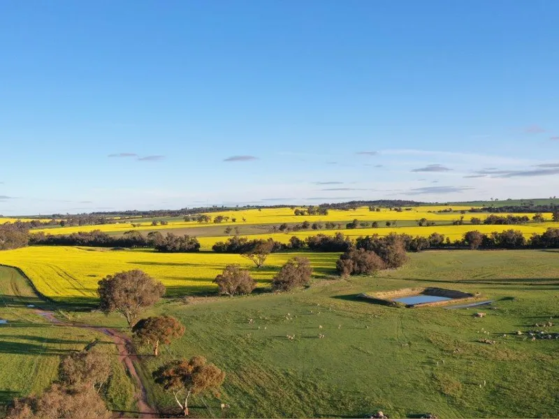 Good Country In Prime Location at Cuballing