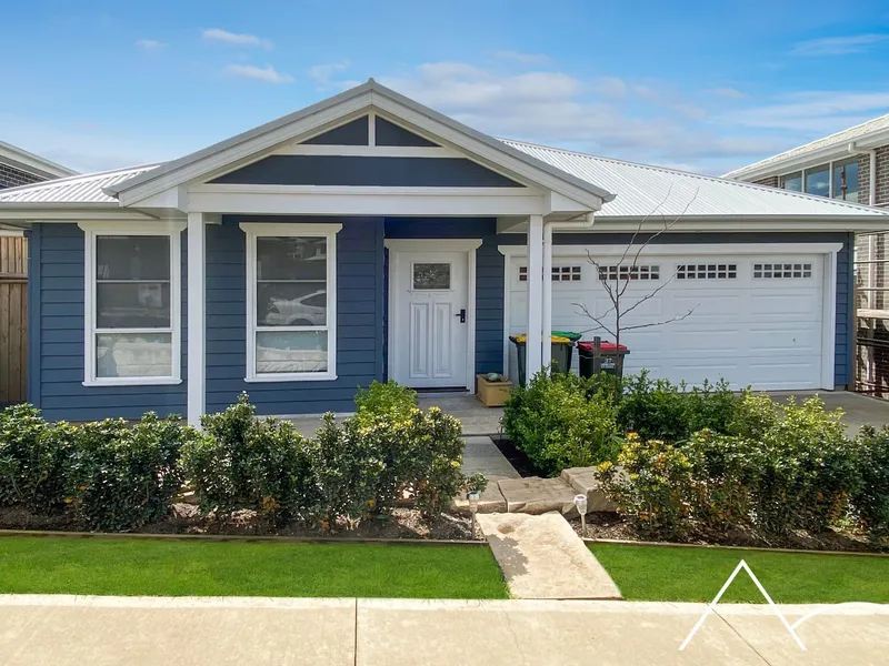 All the Bells & Whistles!