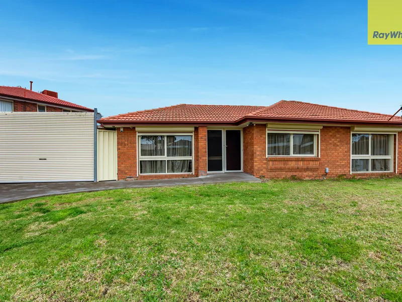 Bright Family Delight!