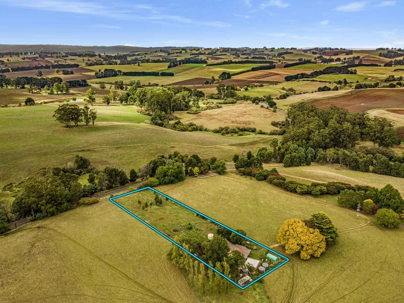 Fantastic Lifestyle Opportunity  with spacious home on 1 and 1/4 acres