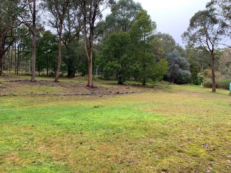 HUGE BLOCK, HUGE POTENTIAL