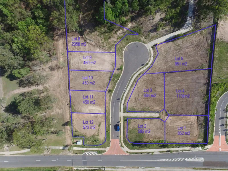 Large lot-Small price