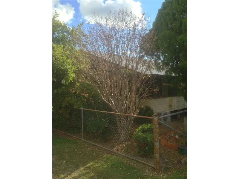 Well maintained Wandoan dwelling