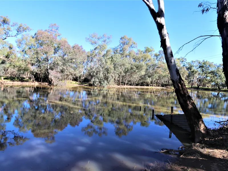 'Deloraine' Ungarie approx 251.72 ha