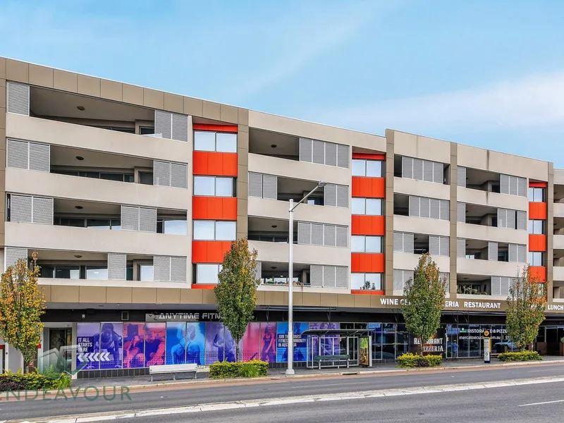 Oversized One Bedroom Apartment 