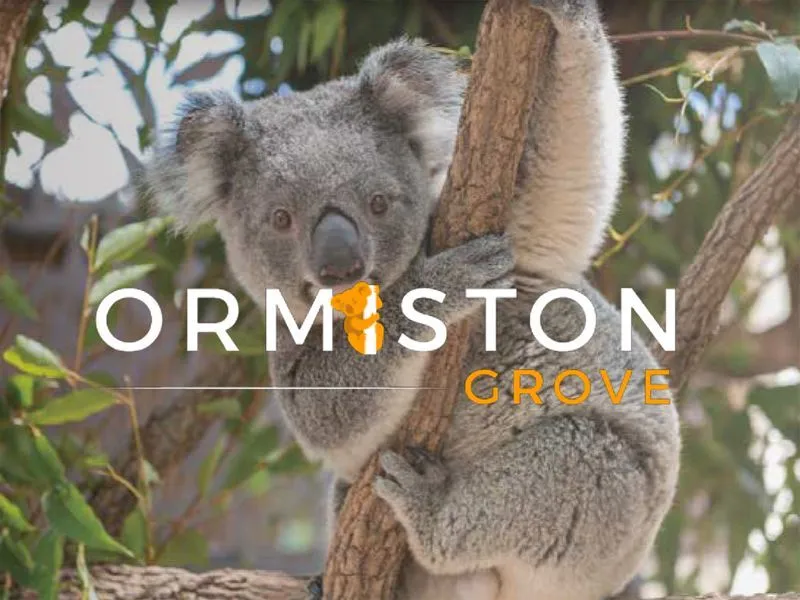 ORMISTON GROVE - ECOFRIENDLY LAND DEVELOPMENT NOW SELLING