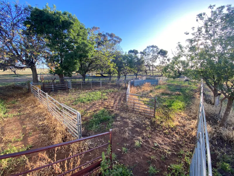 Kalora Park Deniliquin NSW - A Southern Riverina Mixed Farm Opportunity