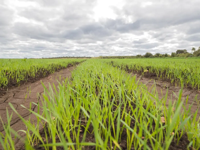 Irrigation asset located in Central Queensland