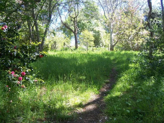 Privately Located Residential Block...1550m2...Creek Setting