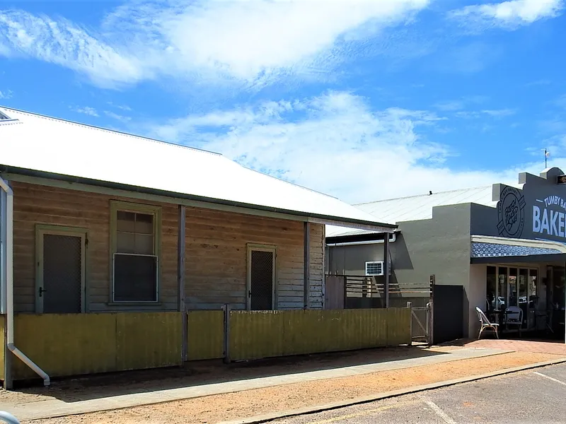 Renovators Delight With Potential