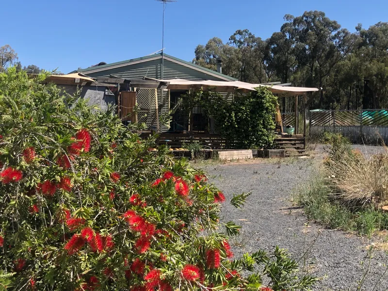 Bush Wonderland on 600 acres. Vendors say sell!!!
