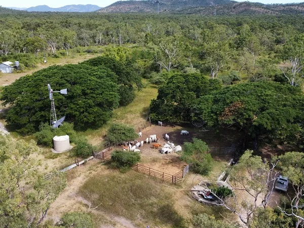 Great Cattle Breeding Block in Convenient Location