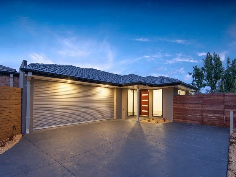 Honey - Stop the Car!