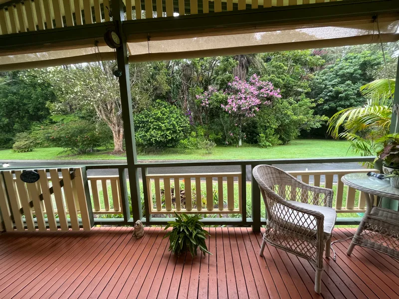 WATCH THE BIRD LIFE FROM THE VERANDAH !