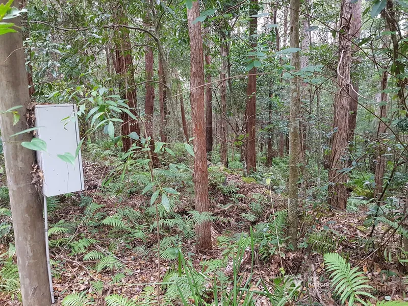 2 great Springbrook lots on one title