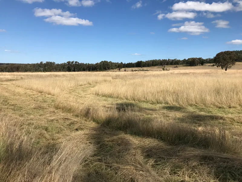 Great view with dwelling entitlement