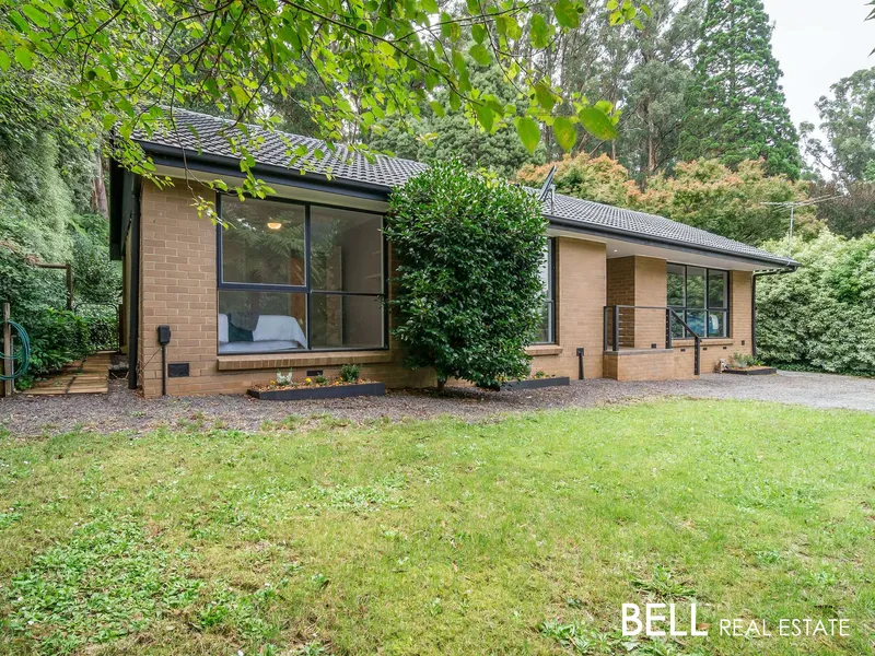 Beautifully Renovated with State Forest at your Back Gate