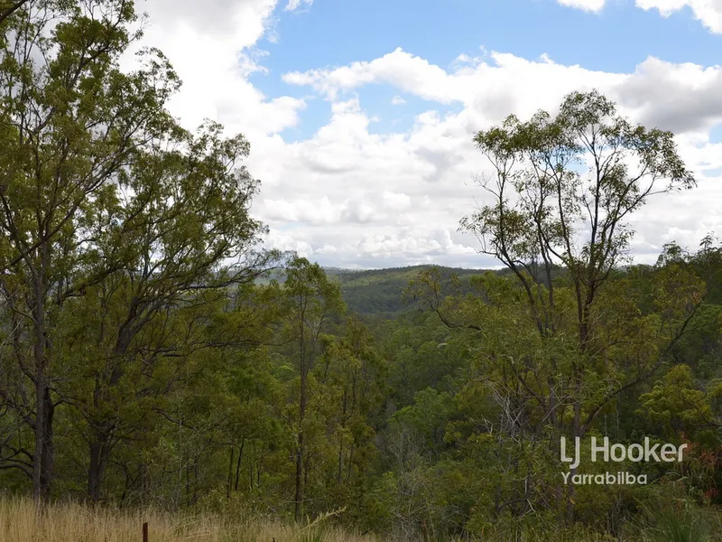 Mountain and Valley Views