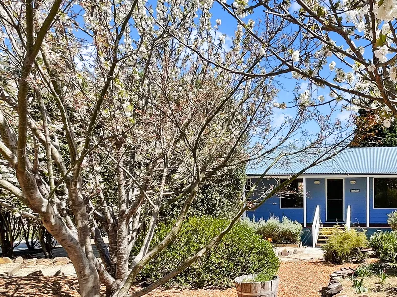 Ranch Style Home on 1600m2 Block