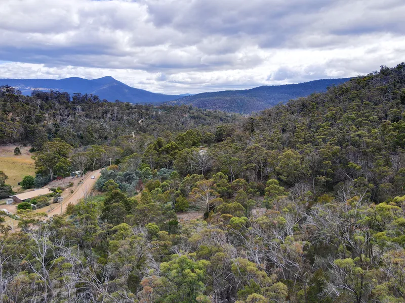 Own Your Piece Of The Country