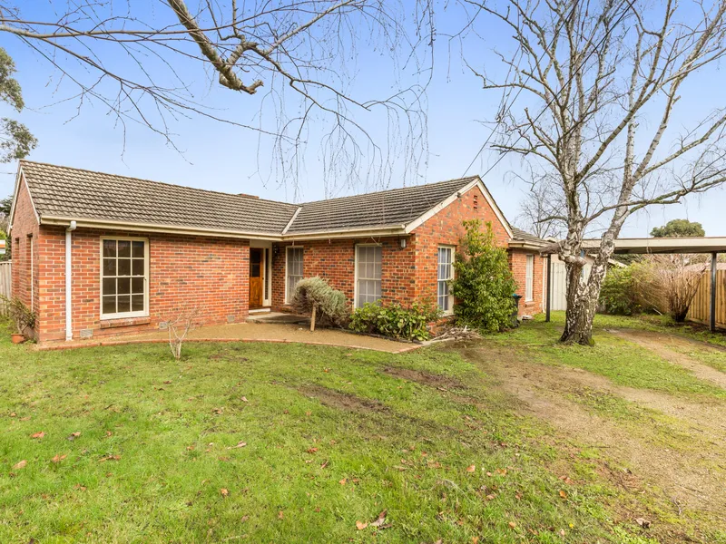 Cute and Comfortable