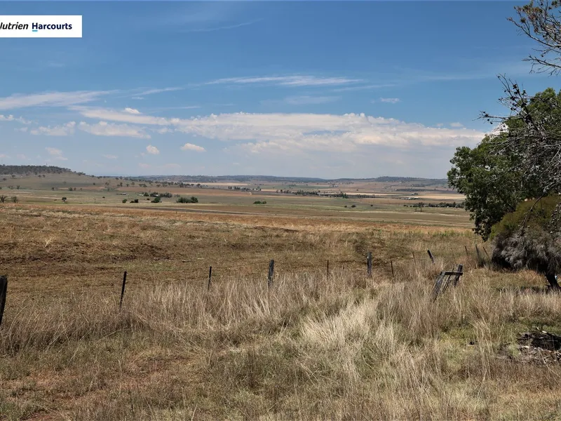 Lifestyle Block  -  Fabulous Views