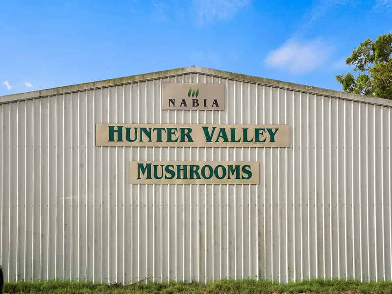 Prime location