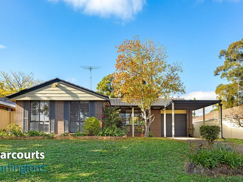 The Ideal Family Home!