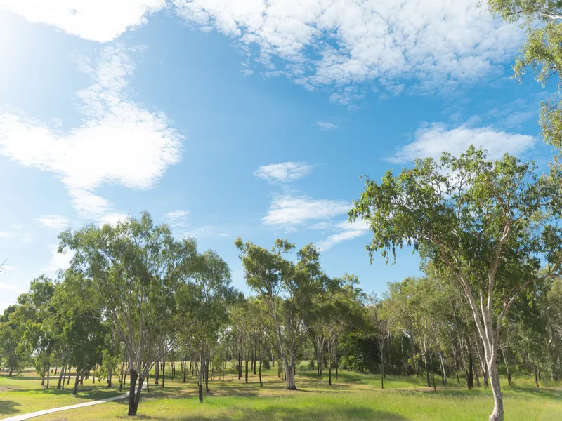 Sweeping views of natural bushland!