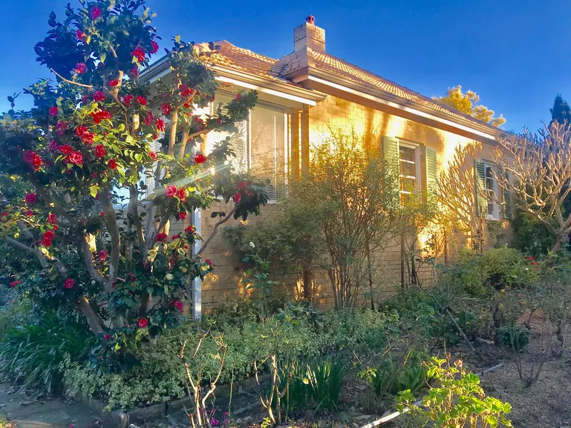 LEASED by Irina Rozenkrants !  