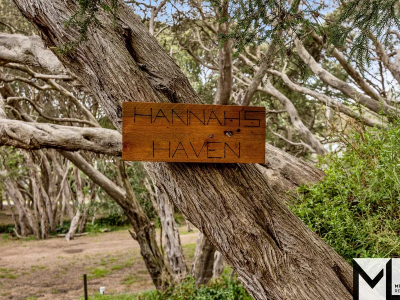 Hannah's Haven
